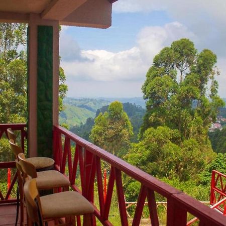 Hotel Natura Cocora Σαλέντο Εξωτερικό φωτογραφία