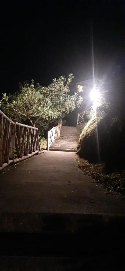 Hotel Natura Cocora Σαλέντο Εξωτερικό φωτογραφία