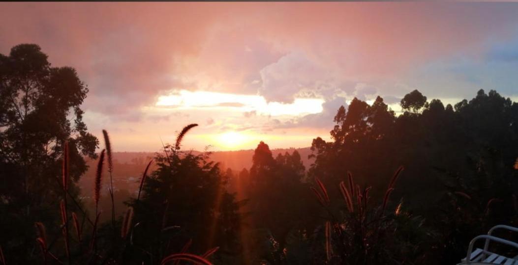 Hotel Natura Cocora Σαλέντο Εξωτερικό φωτογραφία