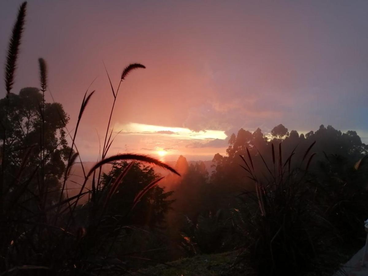 Hotel Natura Cocora Σαλέντο Εξωτερικό φωτογραφία